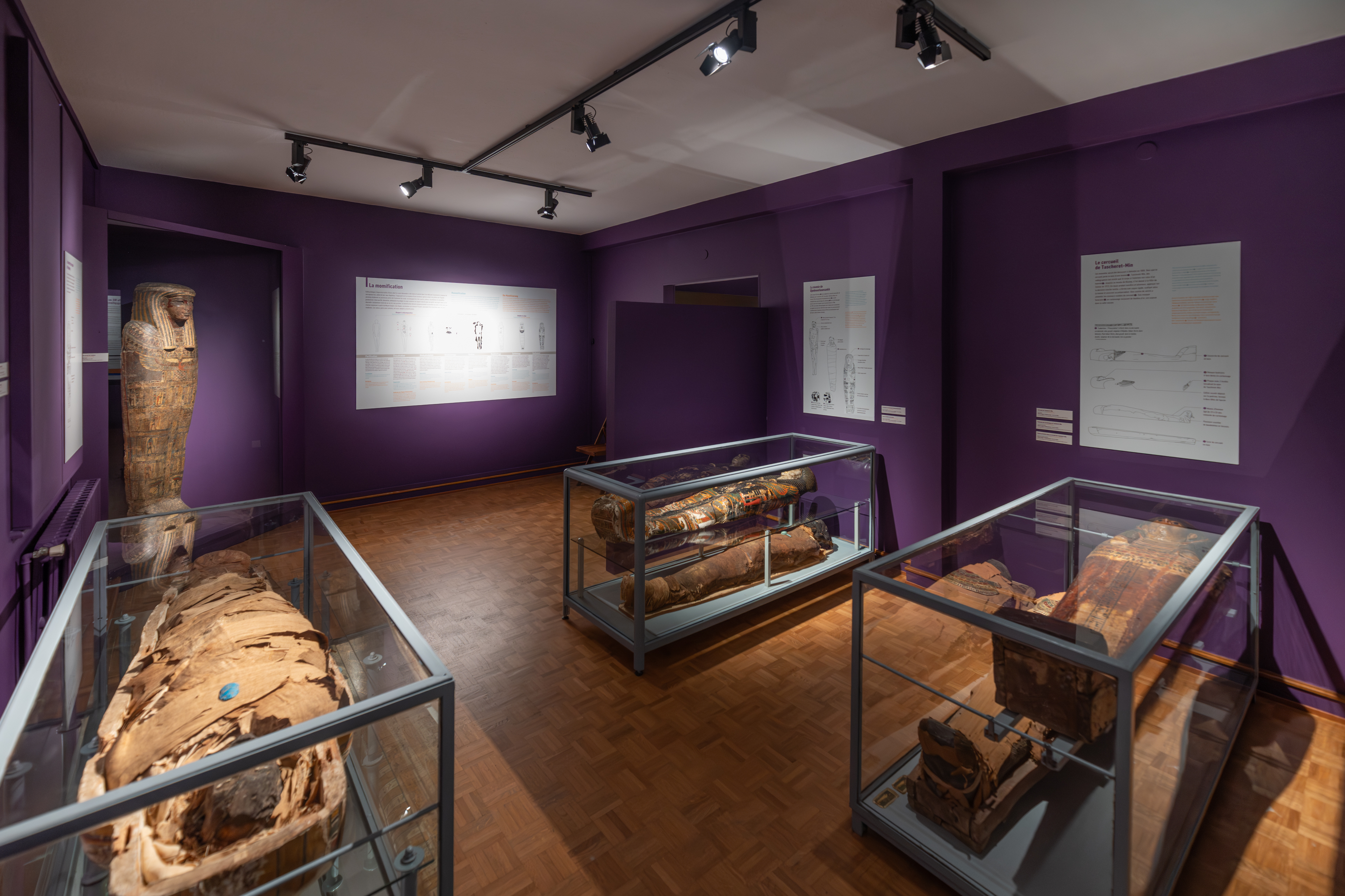 Egyptologie