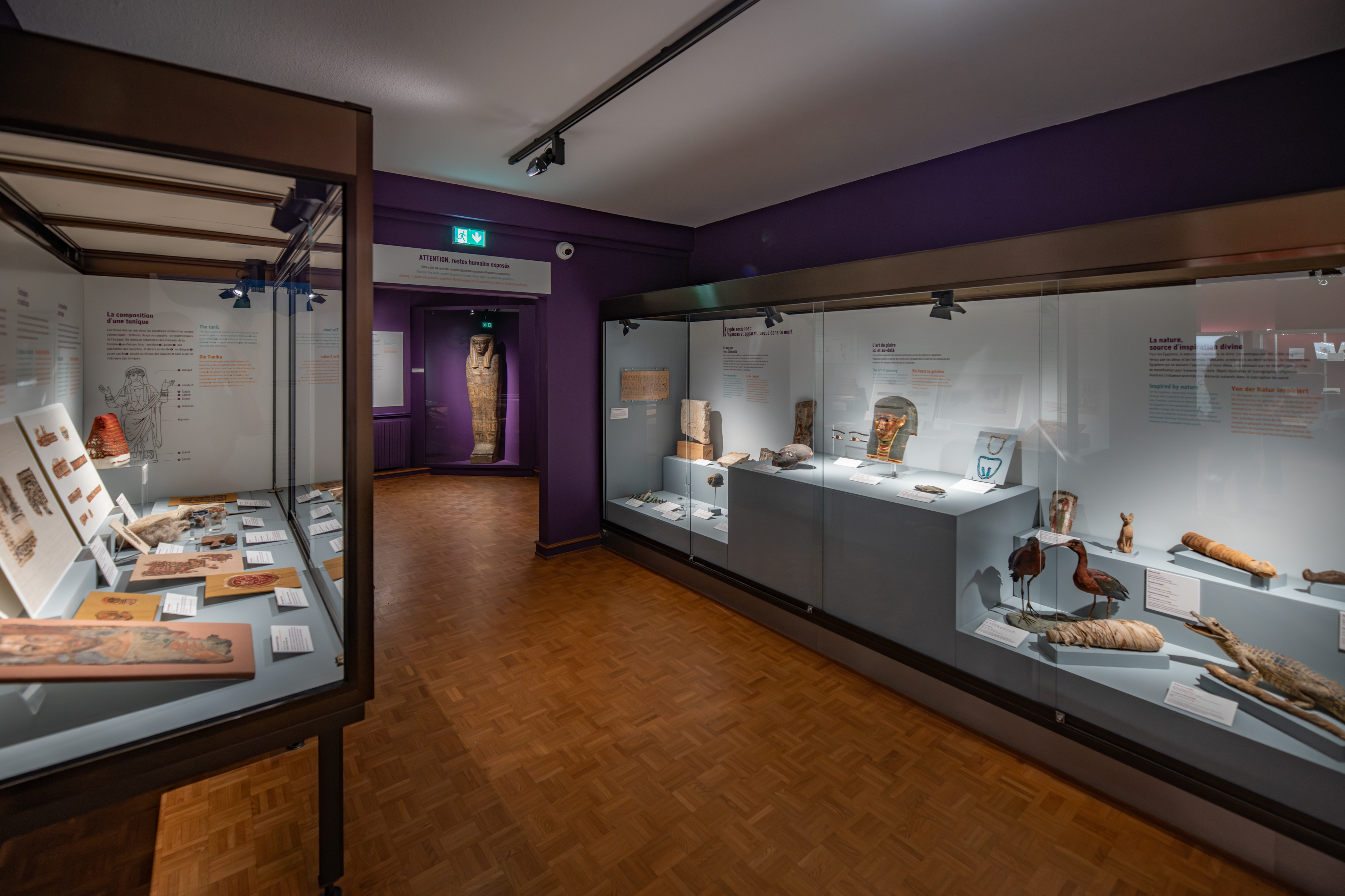 Egyptologie