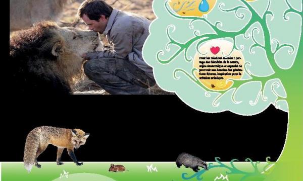 expo2020_panneauconservation_1