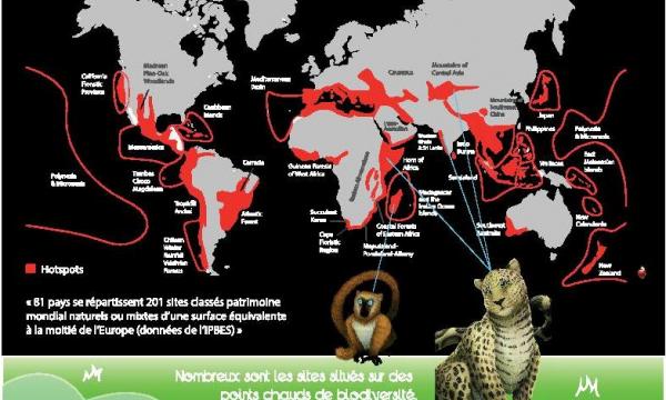 expo2020_panneauconservation_2