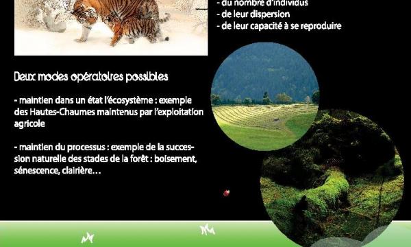 expo2020_panneauconservation_3